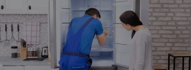 Ремонт холодильников Blomberg